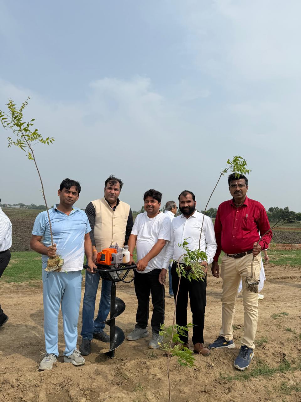 Plantation