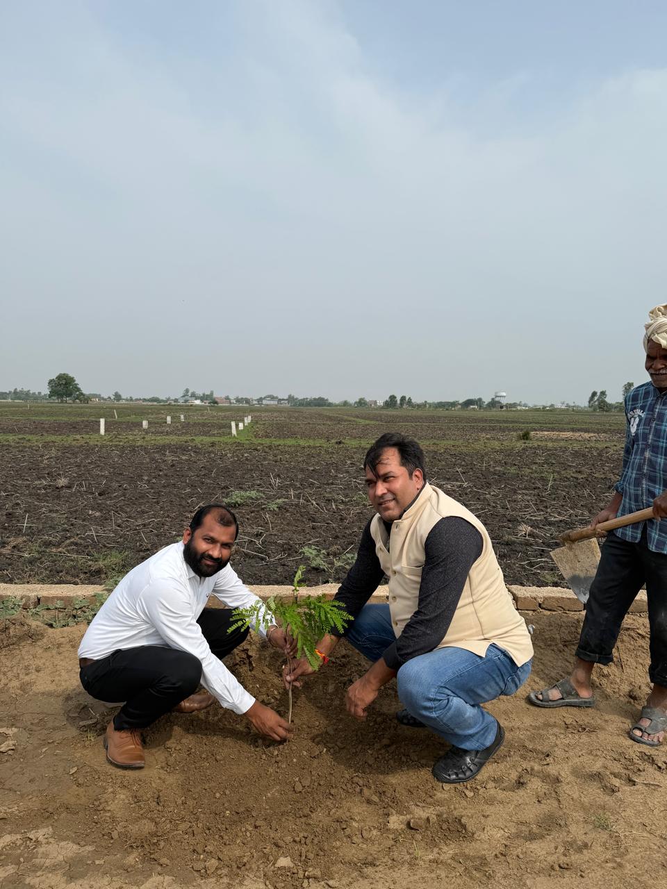 Plantation